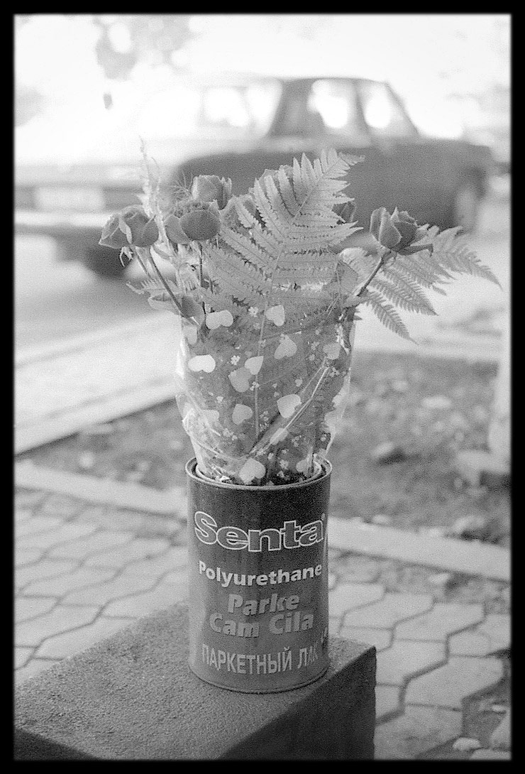 Toxic flowers, Yerevan, 1999